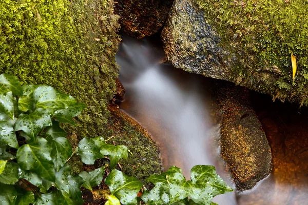 Small natural waterfall. — Stock Photo, Image