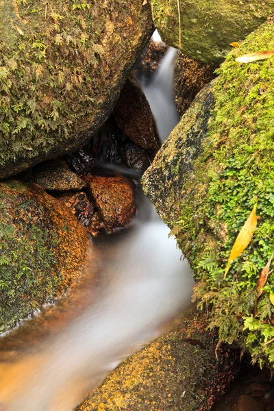 Kleiner natürlicher Wasserfall. — Stockfoto