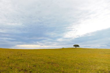 Greenfield, baharın başlangıcı.