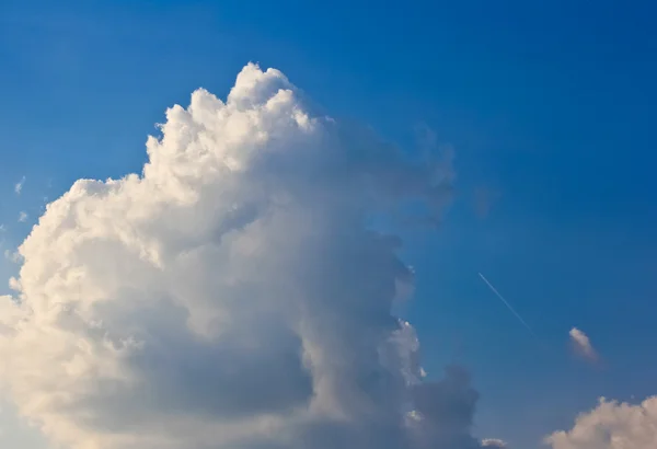 stock image Lonely Airplane in the Skies