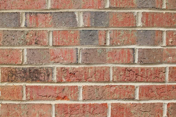 stock image Red wall