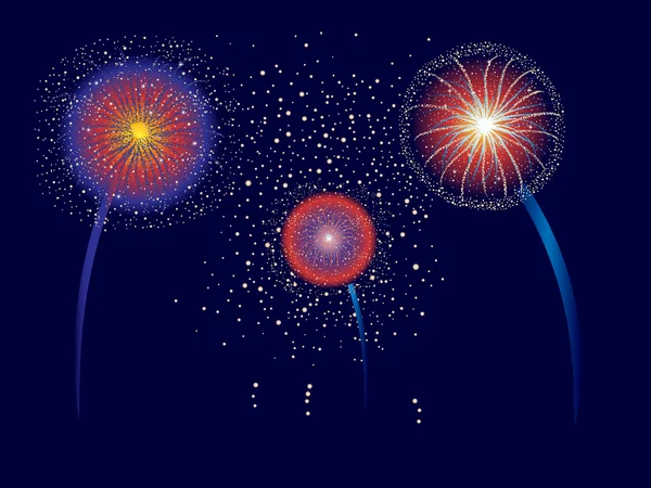 Fireworks Display — Stock Vector