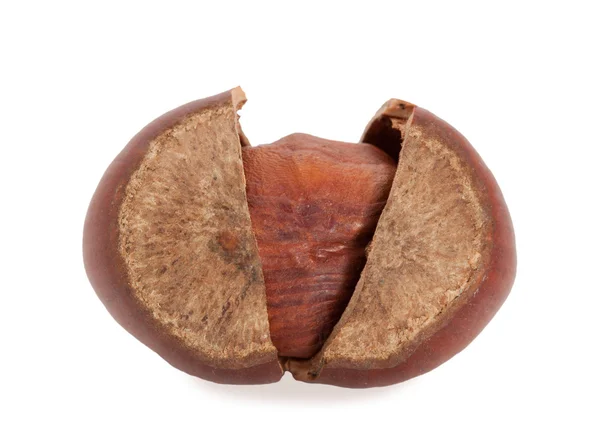 Hazelnuts. — Stock Photo, Image