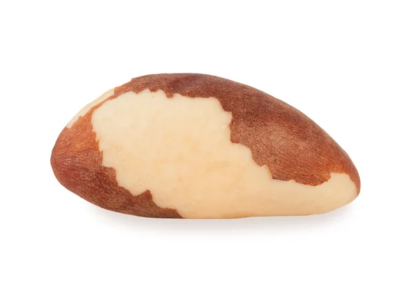 Brazil nut. — Stock Photo, Image