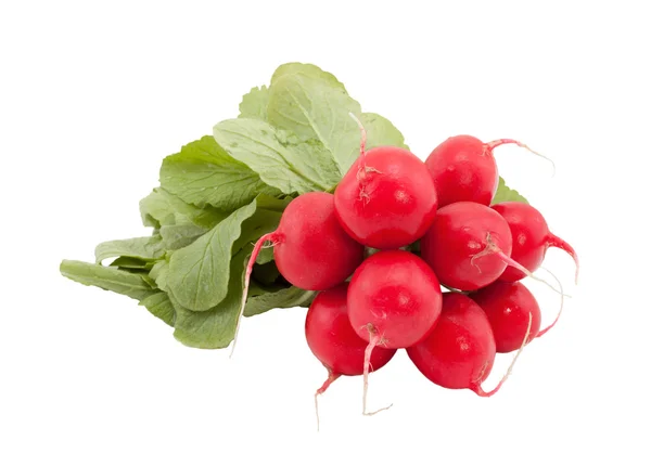 stock image Bunch of radishes.