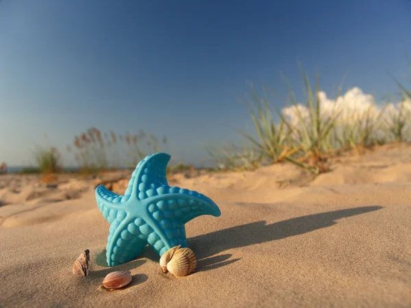 Children's toy on sand. — Stock Photo, Image