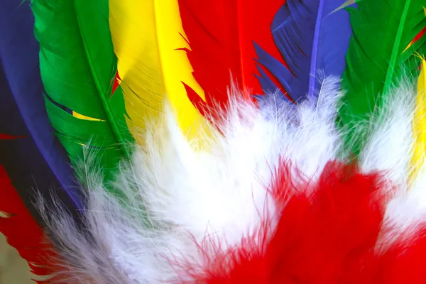 stock image Feathers