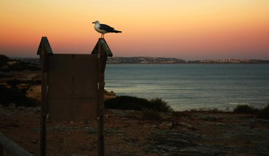 Güney kıyısında sentry