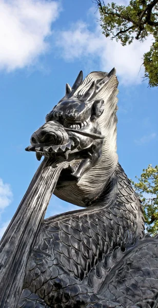 Asiatique noir dragon — Photo