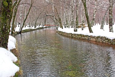 karla kaplı doğal park
