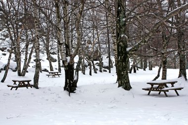 doğal park