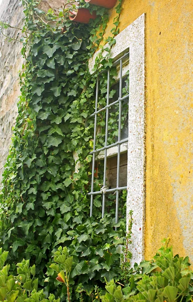 Gelbes Fenster — Stockfoto
