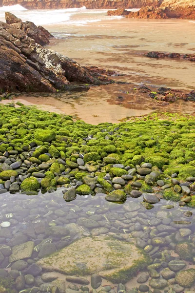 Strand van groene stenen — Stockfoto