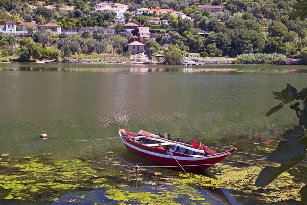 Barca di Douro — Foto Stock