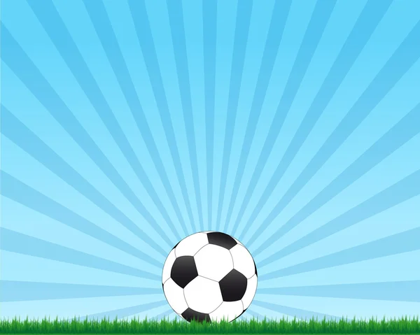 Football ball on grass — Stock Vector