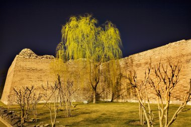 Söğüt ağacı Pekin Çin ile şehir duvar park