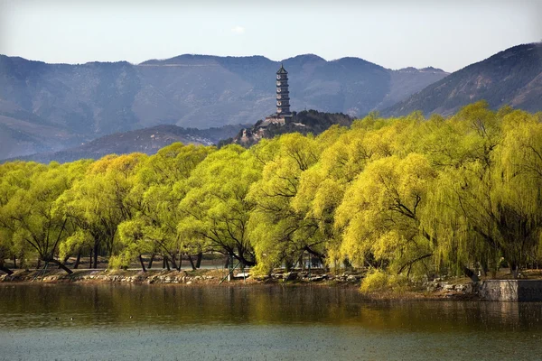Yu Feng Pagodas sommerpalass Willows Beijing Kina – stockfoto
