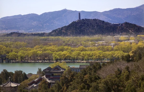 Yu Feng Pagoda From Lonevity Hill Summer Palace Willows Beijing — Stock Photo, Image