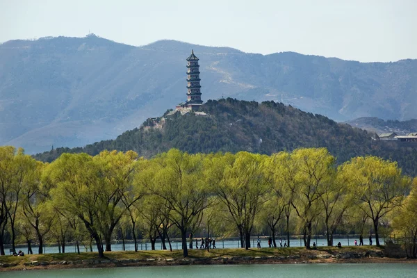 Yu Feng Pagoda Summer Palace Willows Beijing China — Stock Photo, Image