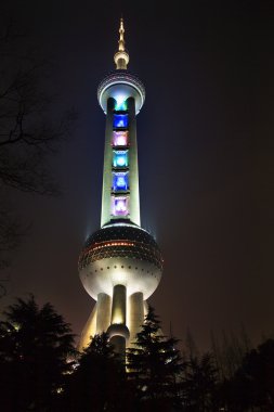 ağaçlar pudong Çin ile gece TV Kulesi shanghai