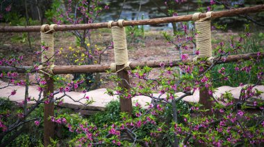 Wooden Bridge Peach Blossoms Peasant Village, Chengdu Sichuan Ch clipart