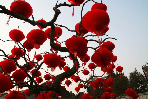 红色中国新年灯笼地坛公园北京中国 — 图库照片