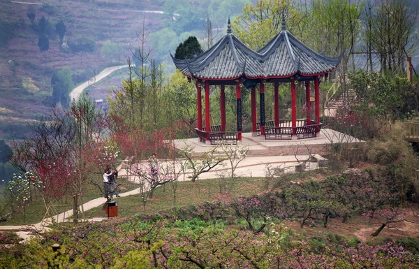 中国の赤い塔ピンクの桃の花成都四川省中国 — ストック写真