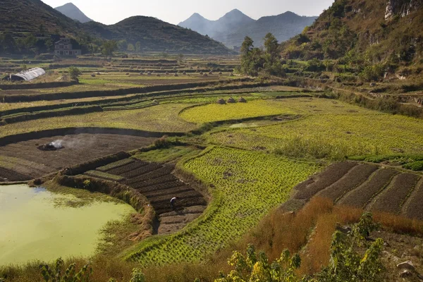 Campi di lavoro contadini cinesi, Guizhou, Cina — Foto Stock