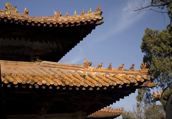 Toits Temple Confucius, Qufu, province du Shandong, Chine — Photo