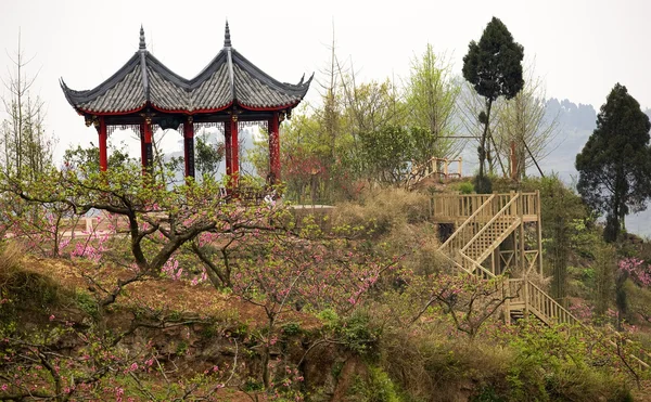 Červená pagoda broskev stromy chengdu vesnicí orchard sichuan Čína — Stock fotografie