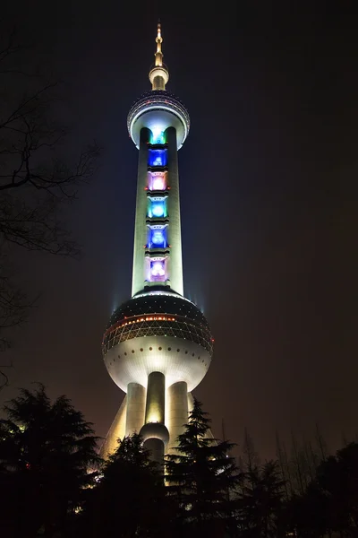 Shanghai TV Tower en la noche con árboles Pudong China —  Fotos de Stock