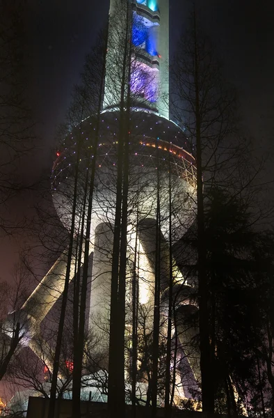 Reflexion Fernsehturm schwarze Bäume Nacht pudong shanghai China — Stockfoto