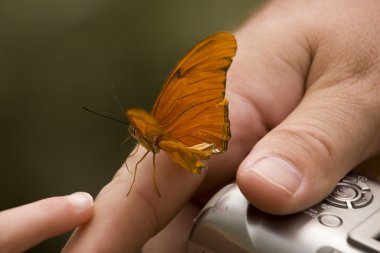 Butterfly Hand Camera clipart