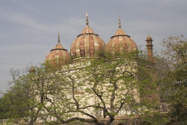 Babür binalar delhi Hindistan