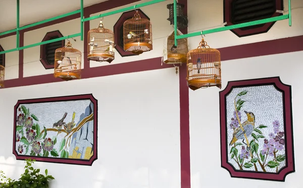 竹笼墙香港鸟市场 — 图库照片