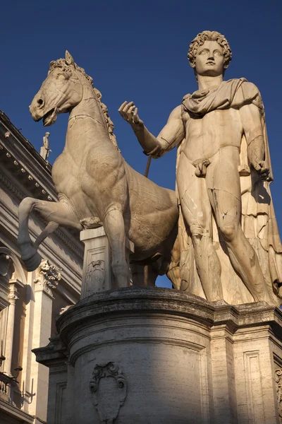 Castor socha ochránce Říma capitoline hill Řím Itálie — Stock fotografie