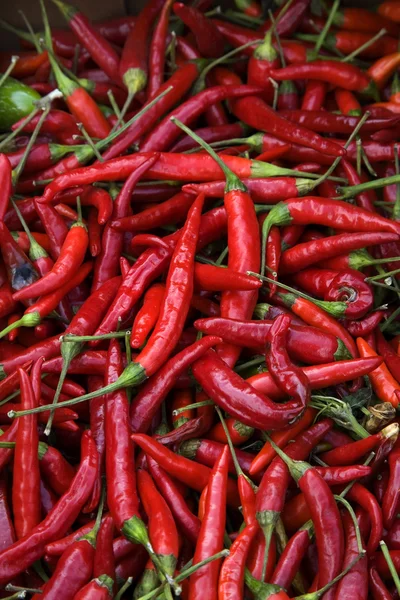 Röd cayenne chilipeppar — Stockfoto