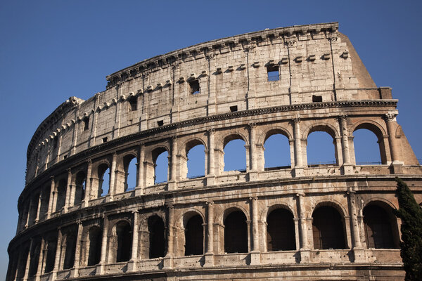 Details Colosseum Rome Italy Built by Vespacian