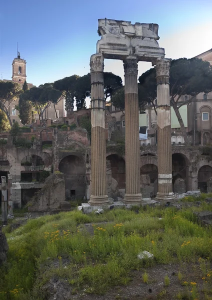 Julius casesar bahar çiçekleri Roma İtalya Forumu — Stok fotoğraf
