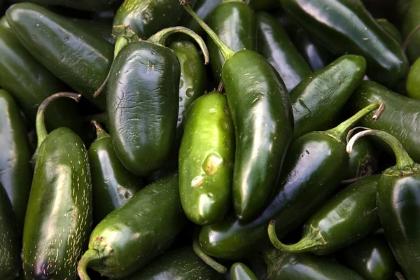Gröna jalapeno chili peppers — Stockfoto