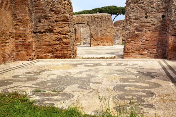 Antiguos baños romanos de Neptuno Pisos de mosaico Ostia Antica Roma I —  Fotos de Stock
