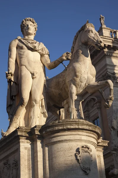 Pollux Statue Defender of Rome Capitoline Hill Rome Italy — Stock Photo, Image