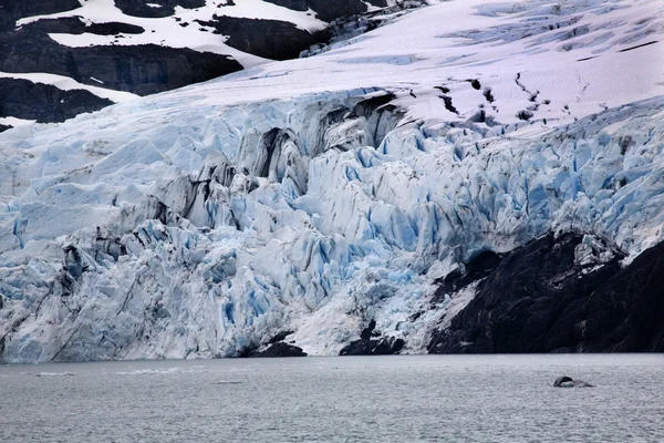 Glaciar Blue Portage Lago Ancoragem Alasca — Fotografia de Stock