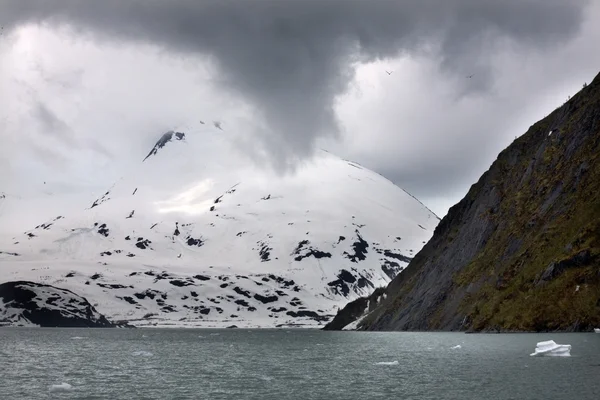 stock image Portage Glacier Ice in the Water Snow Mountain Anchorage Alaska