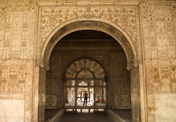 Disegni mughal sul forte rosso interno, Delhi, India — Foto Stock