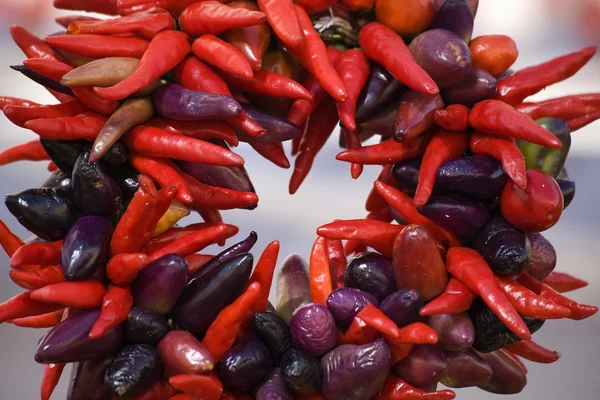 Στεφάνι γύρο μωβ κόκκινο τσίλι πιπεριές — Φωτογραφία Αρχείου