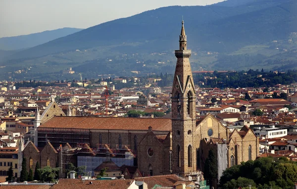 Basilica santa croce rooftops Floransa İtalya — Stok fotoğraf
