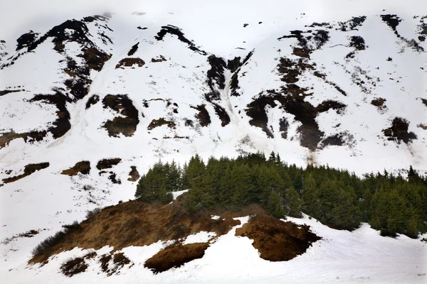 Sneeuw bergen bruin seward snelweg anchorage alaska — Stockfoto