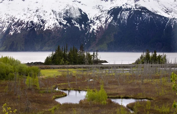 Sněhové horské pásmo dvě jezera oceánu anchorage Aljaška — Stock fotografie