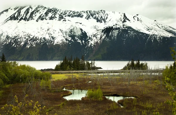 Sněhové horské krajiny seward dálnici anchorage Aljaška — Stock fotografie